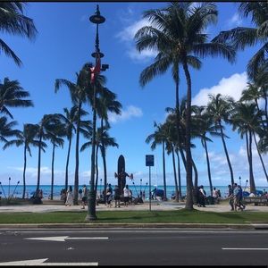 Meet your Posher, Wyatt